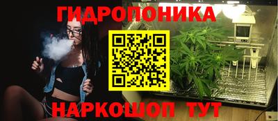 MDMA Новодвинск