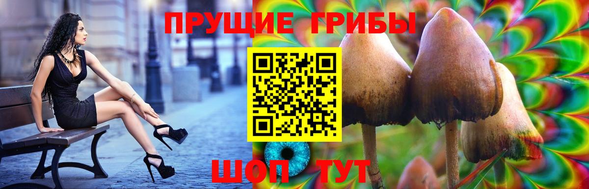 Чапаевск  Псилоцибиновые грибы ЛСД  Псилоцибиновые грибы мухоморы  Вход с VPN 
